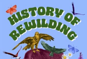 rewilding project from clapham film unit